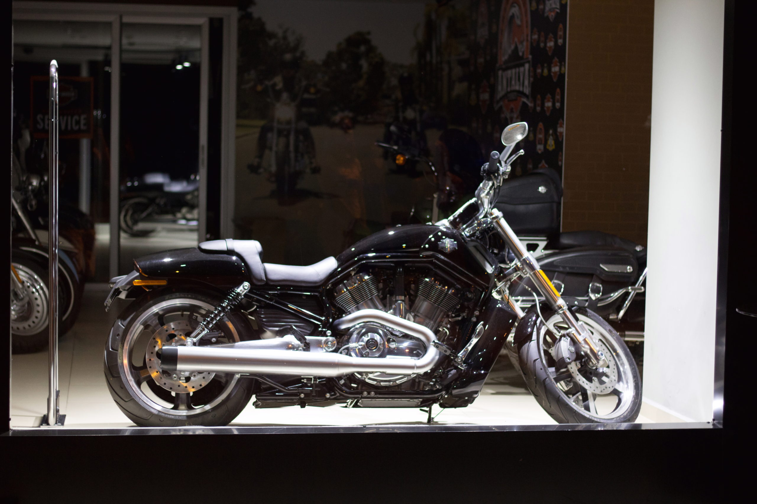 harley davidson premier